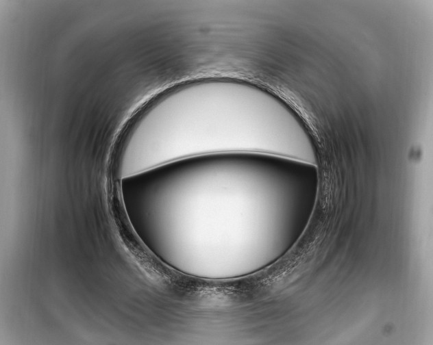 X0000099930680200805231000