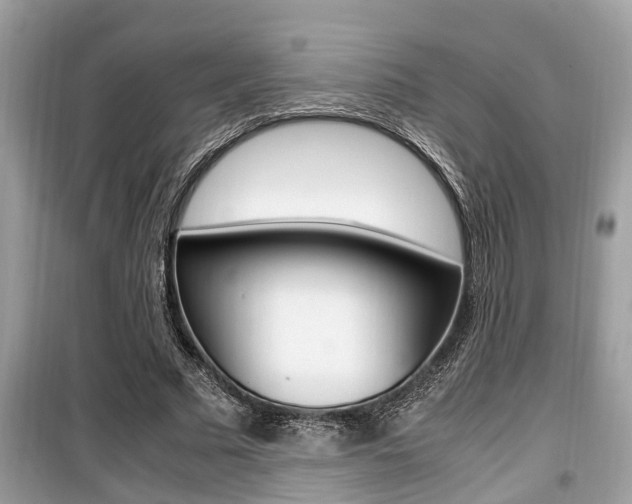 X0000099930681200805231000