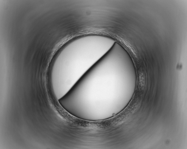 X0000099930682200805231000