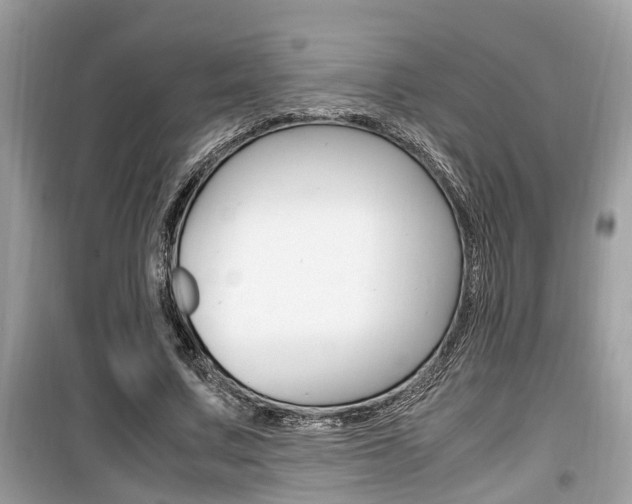 X0000099930683200805231000
