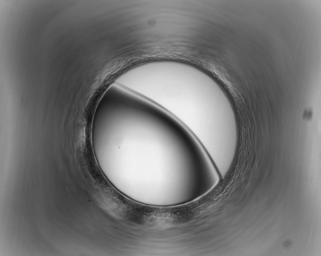 X0000099930685200805231000