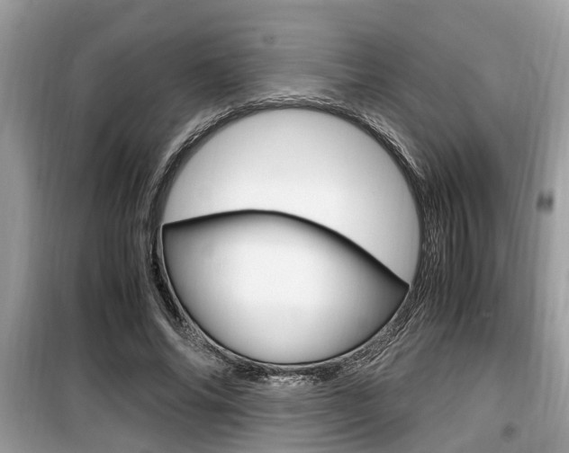 X0000099930686200805231000