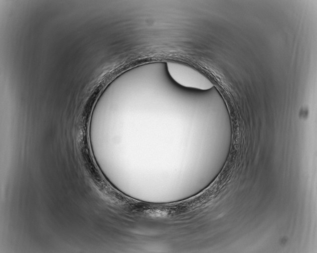 X0000099930687200805231000