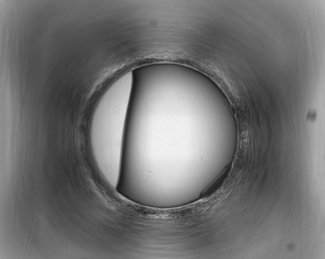 X0000099930688200805231000
