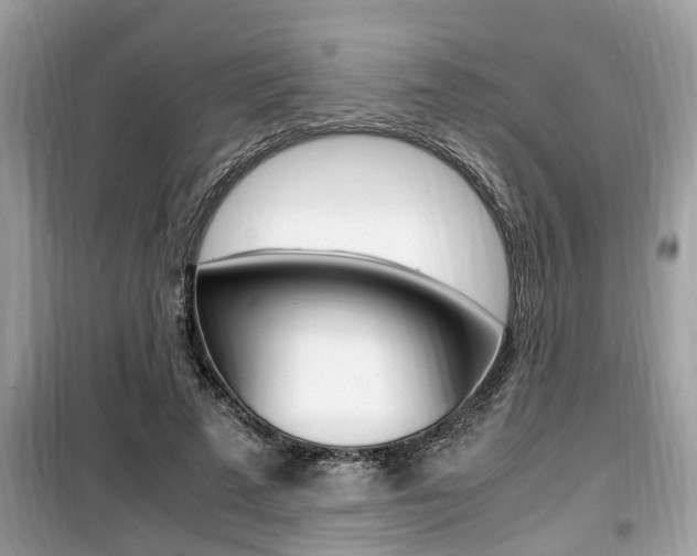 X0000099930689200805231000