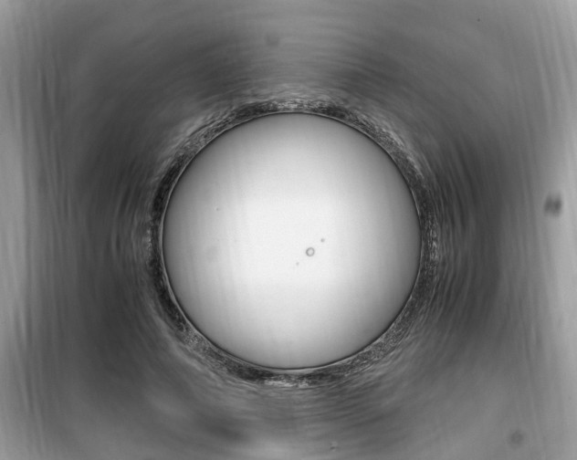 X0000099930690200805231000