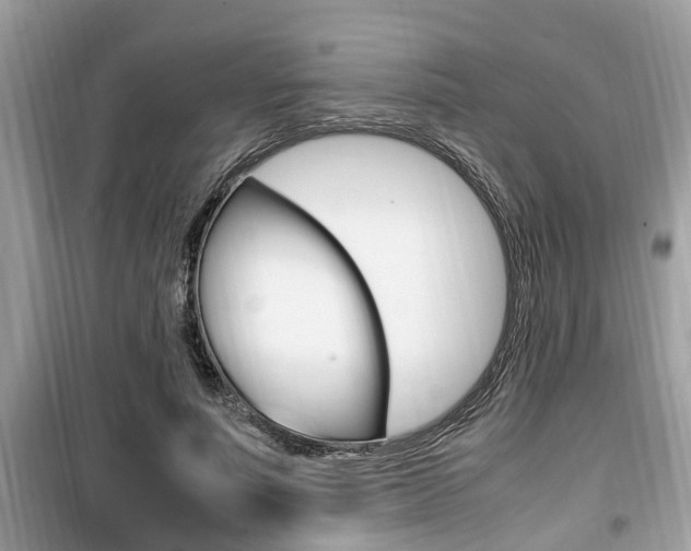 X0000099930691200805231000
