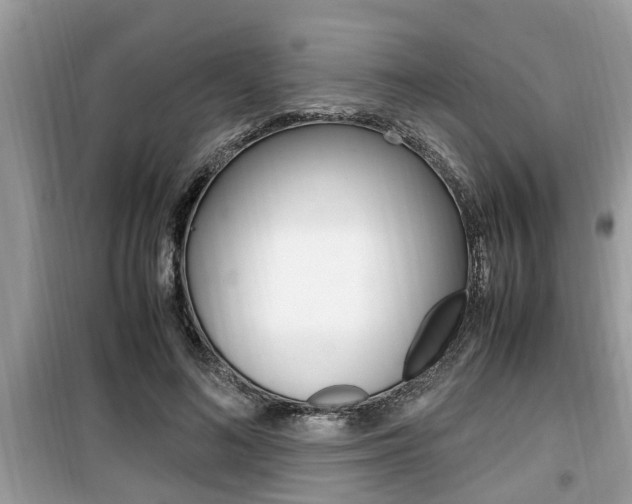 X0000099930692200805231000