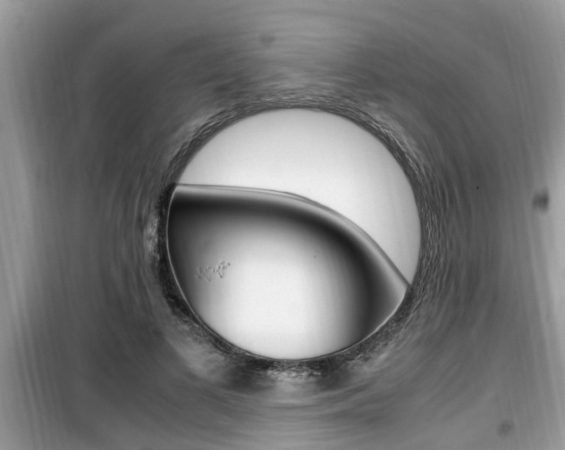 X0000099930693200805231000