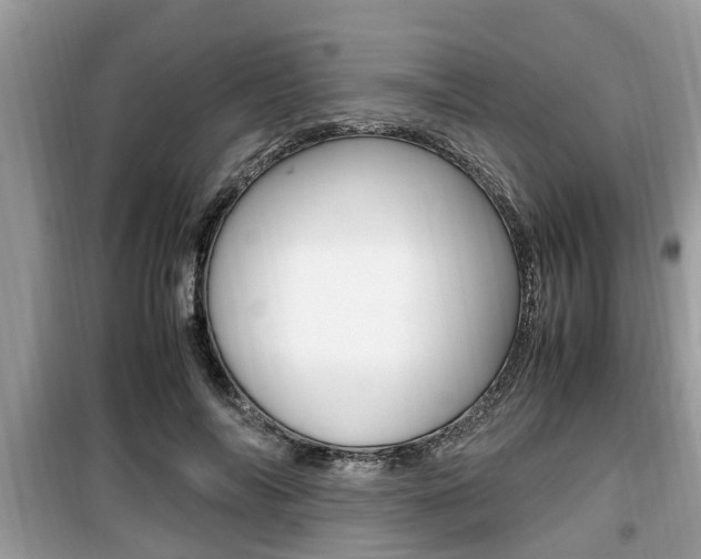 X0000099930694200805230959