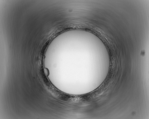 X0000099930695200805230959