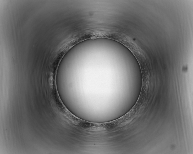 X0000099930696200805230959