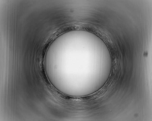 X0000099930698200805230959