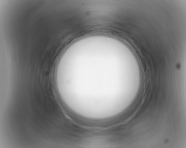 X0000099930701200805230959