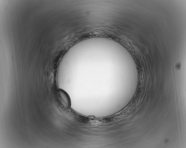 X0000099930703200805230959