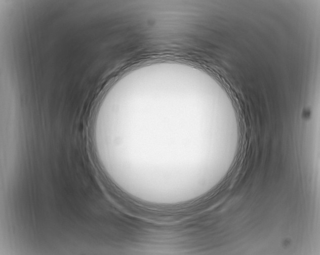 X0000099930705200805230959