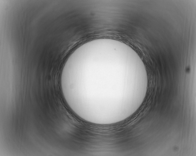X0000099930708200805230959