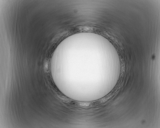 X0000099930709200805230959