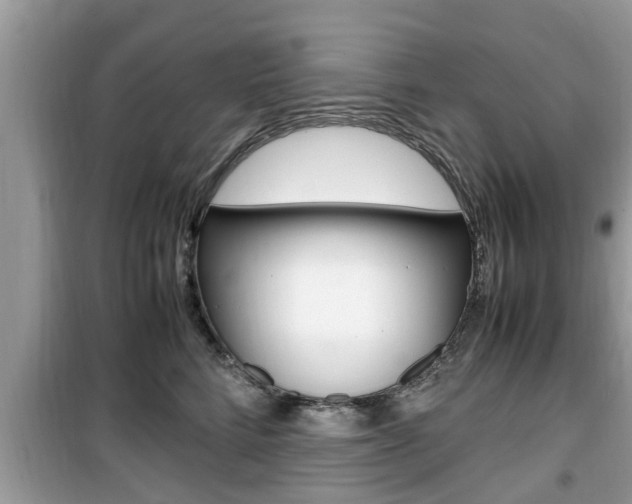X0000099930712200805230959
