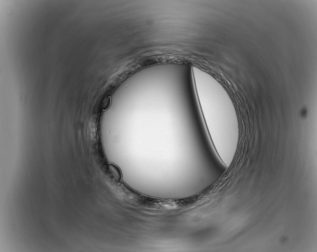 X0000099930715200805230959