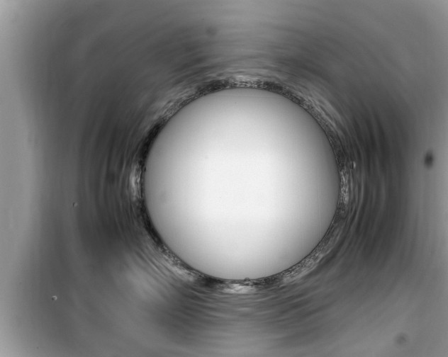 X0000099930718200805230959