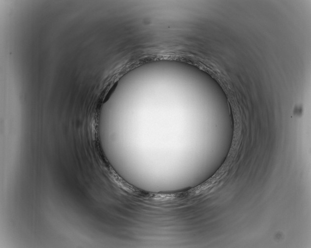 X0000099930720200805230959