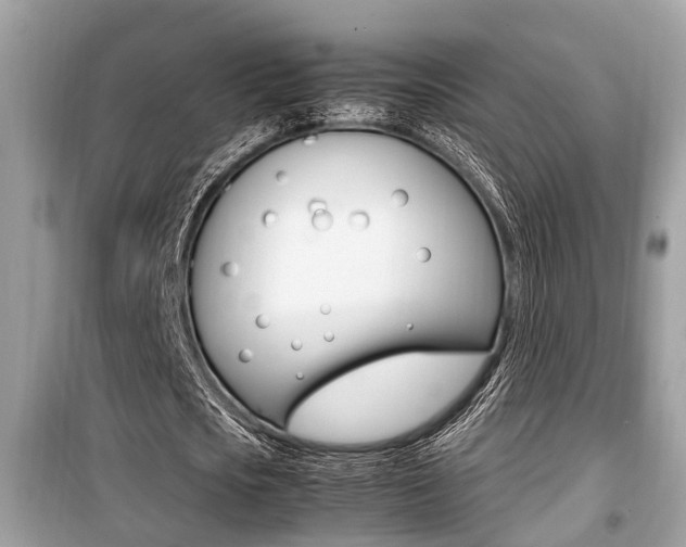 X0000099930721200805230959