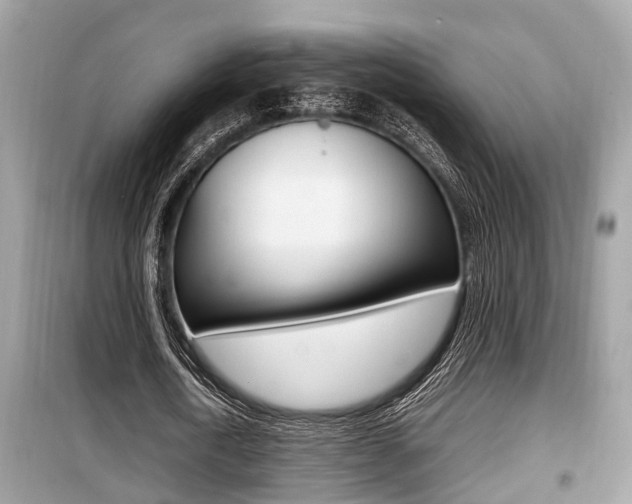 X0000099930722200805230959