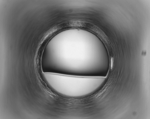 X0000099930723200805230959