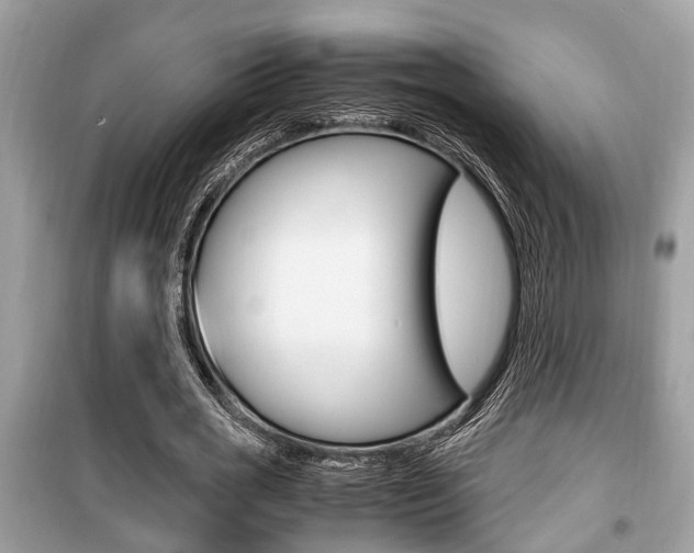 X0000099930725200805230959