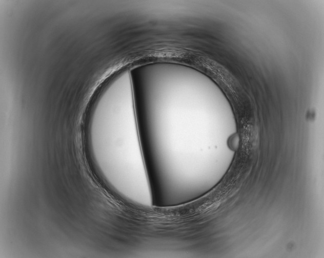 X0000099930727200805230959