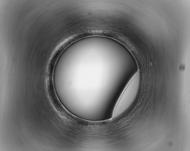 X0000099930728200805230959