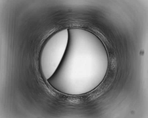 X0000099930729200805230959