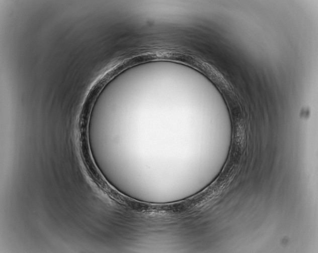 X0000099930730200805230959
