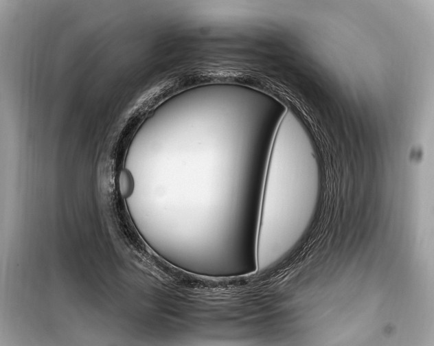 X0000099930731200805230959