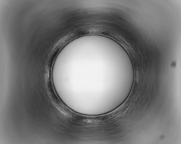 X0000099930733200805230959