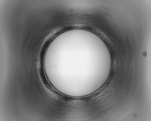 X0000099930734200805230959
