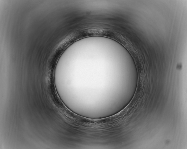 X0000099930735200805230959