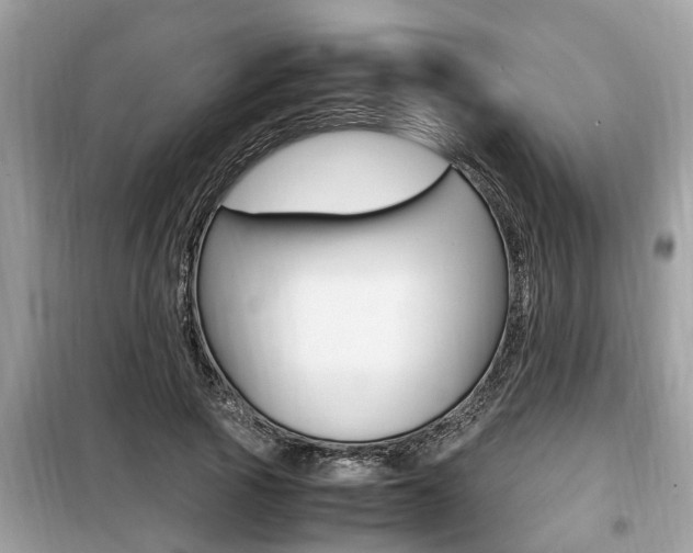 X0000099930737200805230959