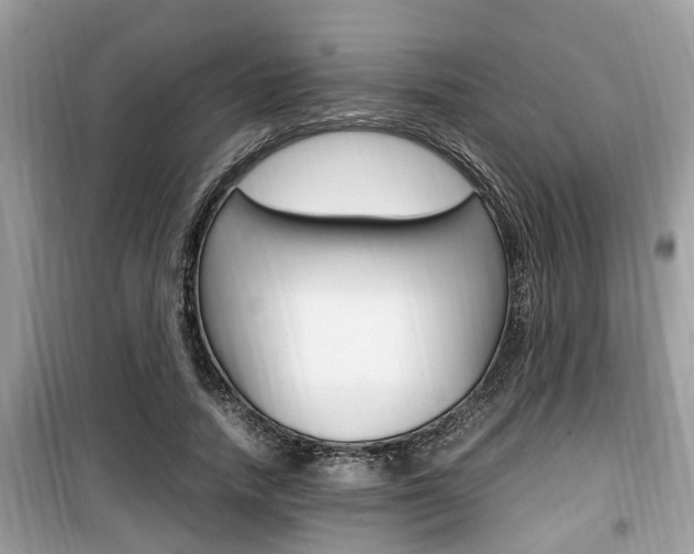 X0000099930738200805230959