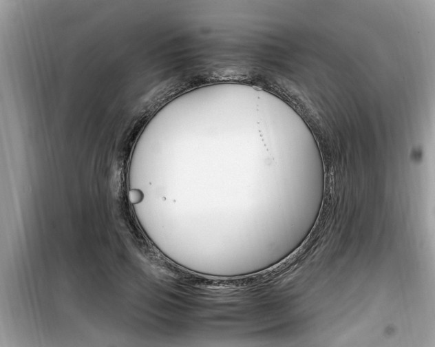 X0000099930741200805230959