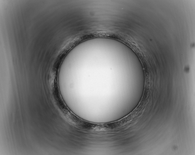 X0000099930742200805230959