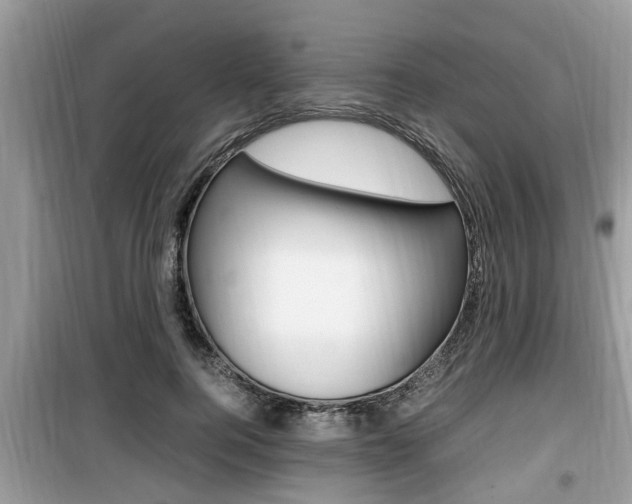 X0000099930744200805230959