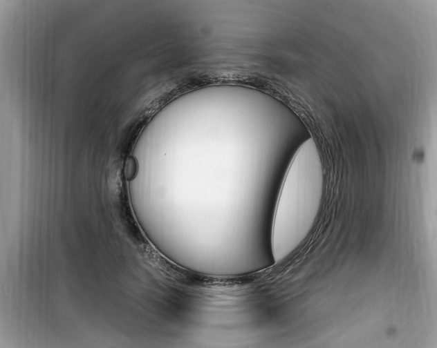 X0000099930746200805230959