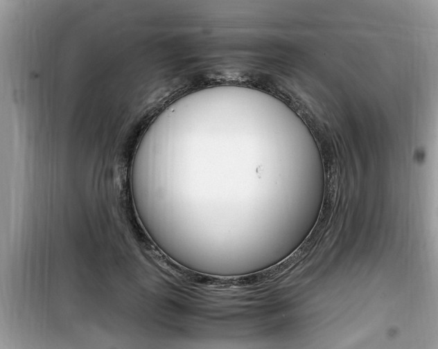 X0000099930747200805230959