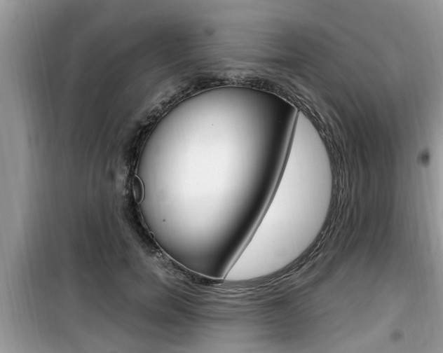 X0000099930750200805230959