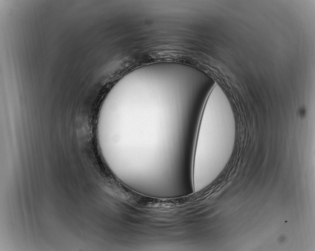 X0000099930751200805230959