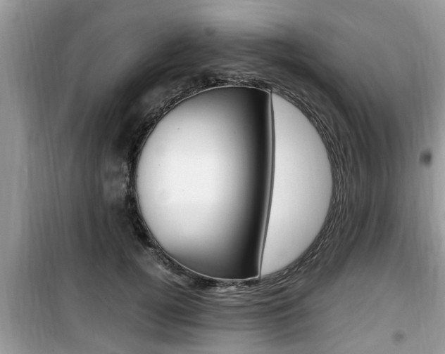 X0000099930752200805230959