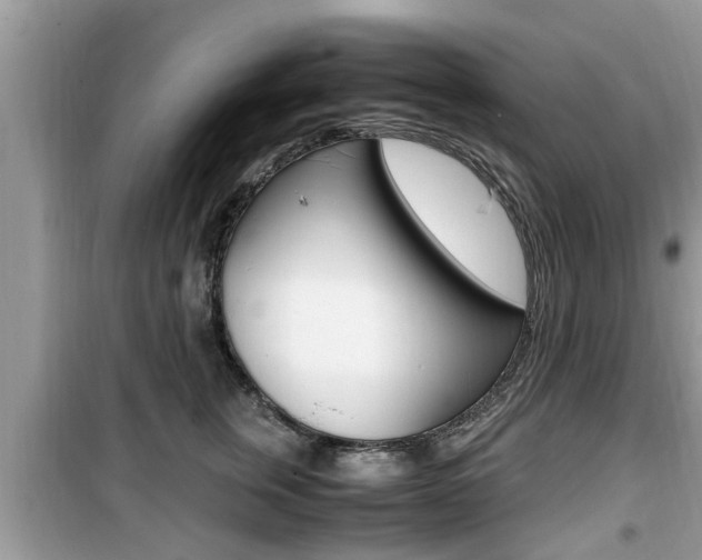 X0000099930759200805230959