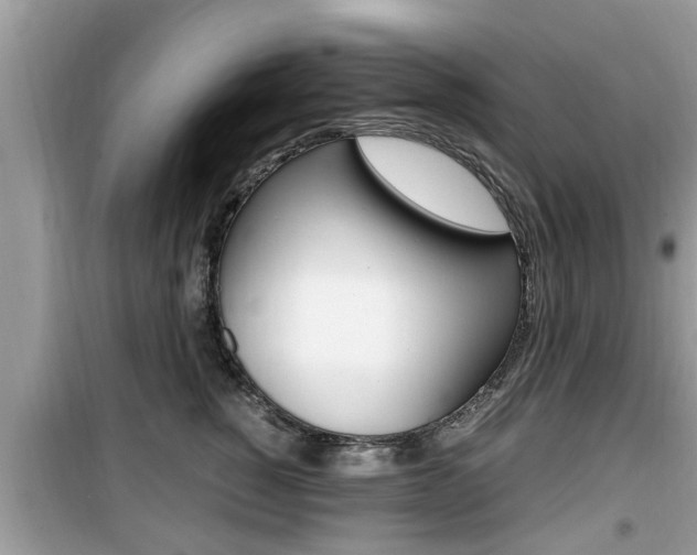 X0000099930760200805230959